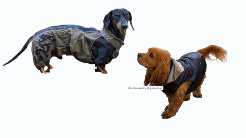 how to make a dog raincoat